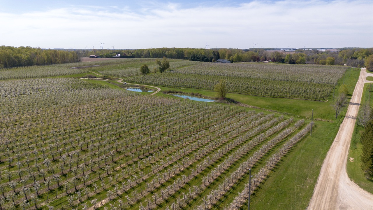 1355 Ausable Road, Arkona, Ontario    - Photo 21 - RP9140738261