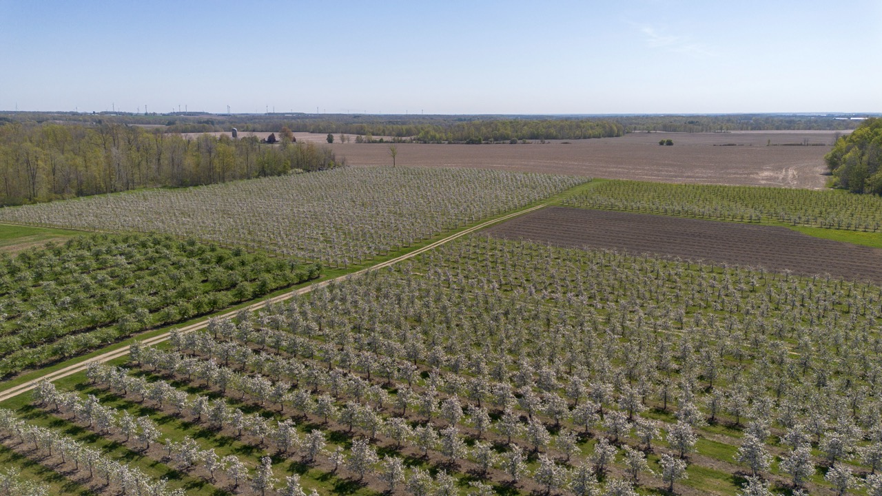 1355 Ausable Road, Arkona, Ontario    - Photo 22 - RP9140738261