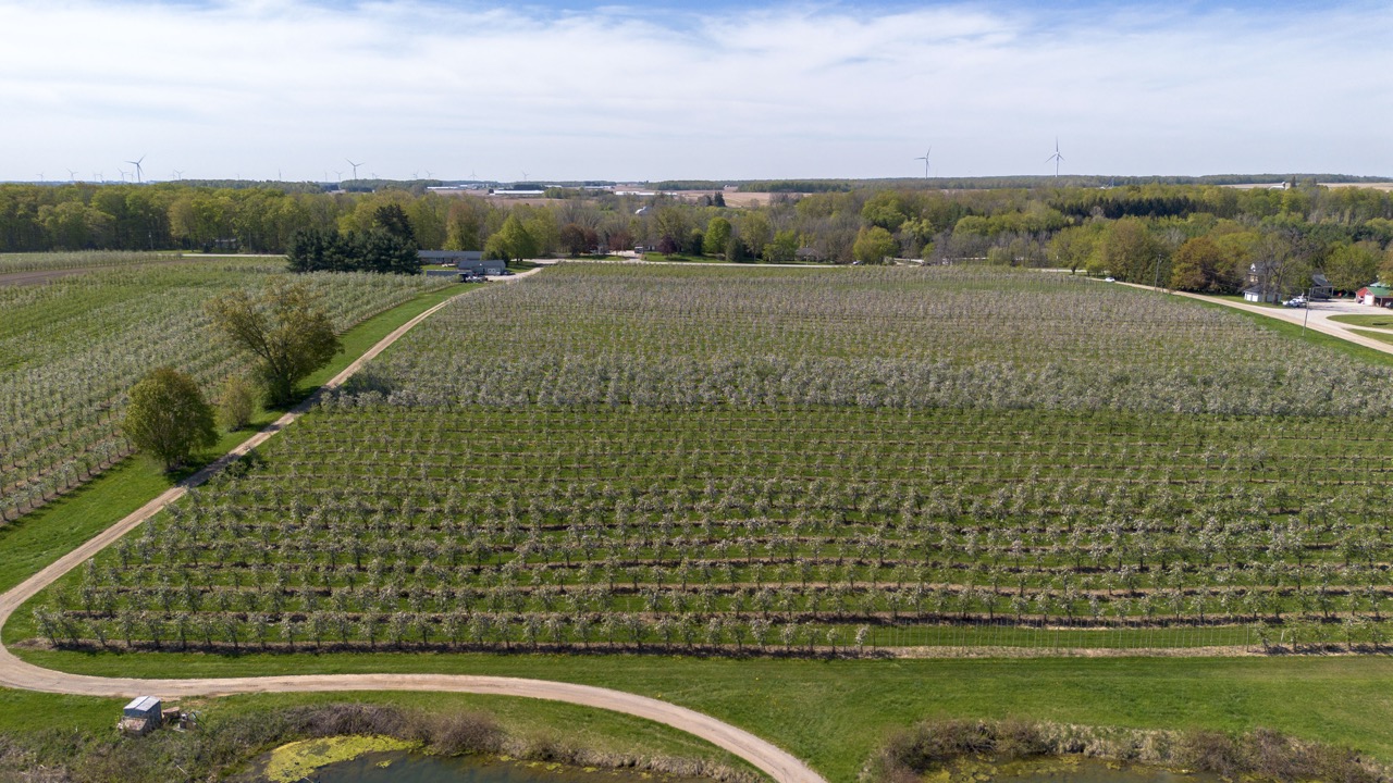 1355 Ausable Road, Arkona, Ontario    - Photo 23 - RP9140738261