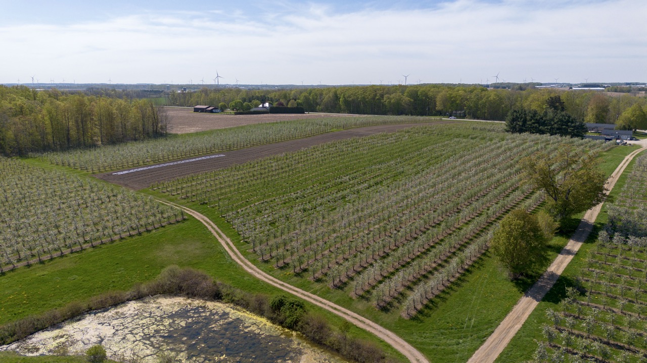 1355 Ausable Road, Arkona, Ontario    - Photo 24 - RP9140738261