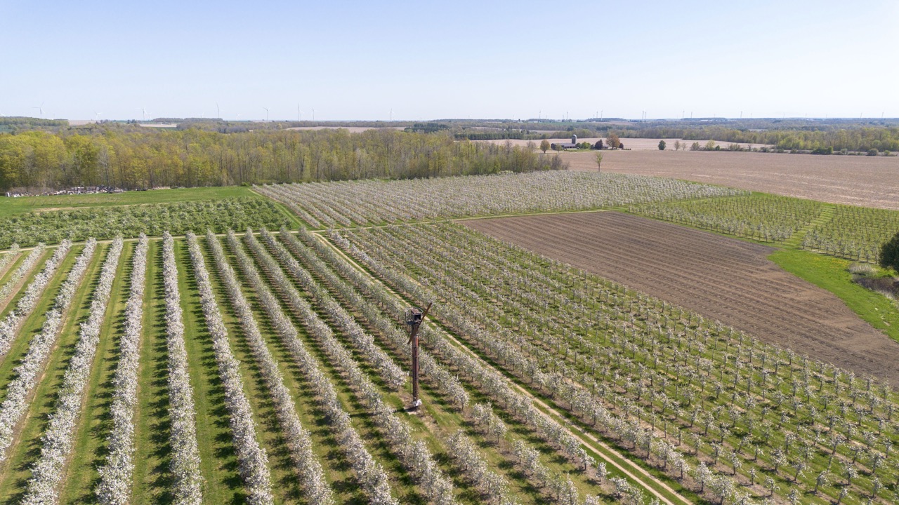 1355 Ausable Road, Arkona, Ontario    - Photo 25 - RP9140738261