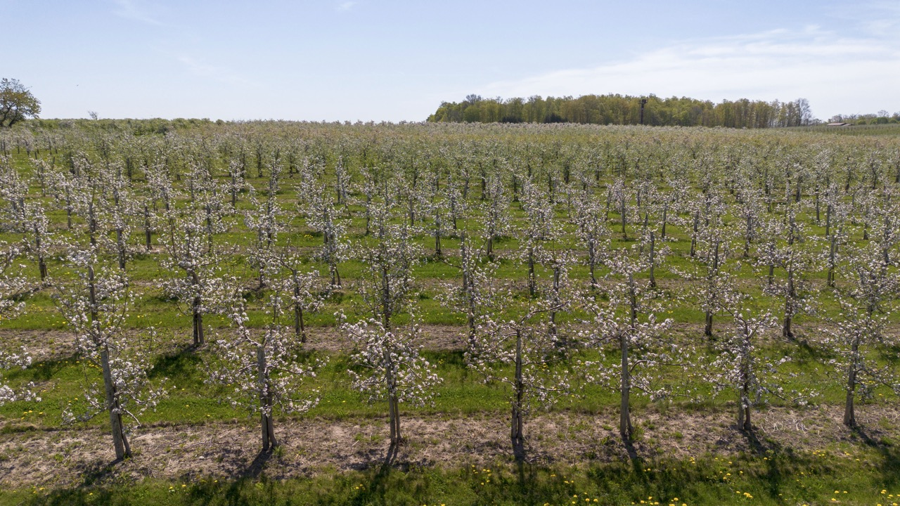 1355 Ausable Road, Arkona, Ontario    - Photo 28 - RP9140738261