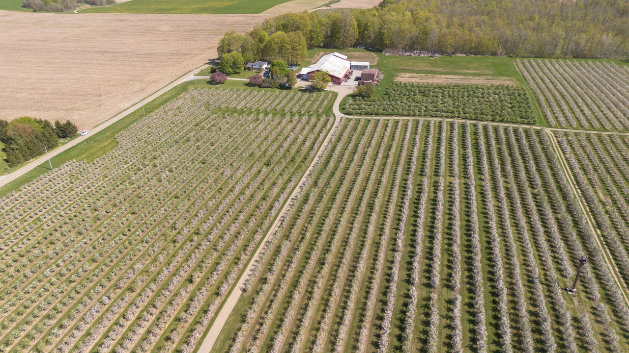 1355 Ausable Road, Arkona, Ontario    - Photo 29 - RP9140738261