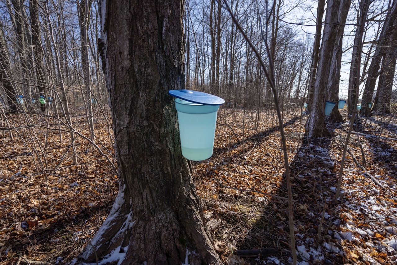 1355 Ausable Road, Arkona, Ontario    - Photo 39 - RP9140738261