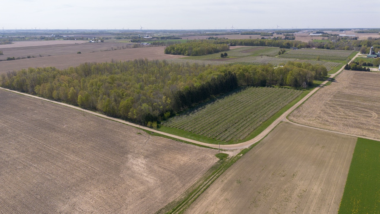 1355 Ausable Road, Arkona, Ontario    - Photo 4 - RP9140738261