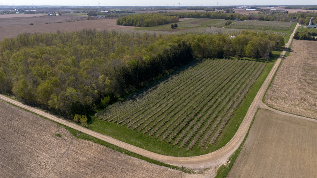 1355 Ausable Road, Arkona, Ontario    - Photo 5 - RP9140738261