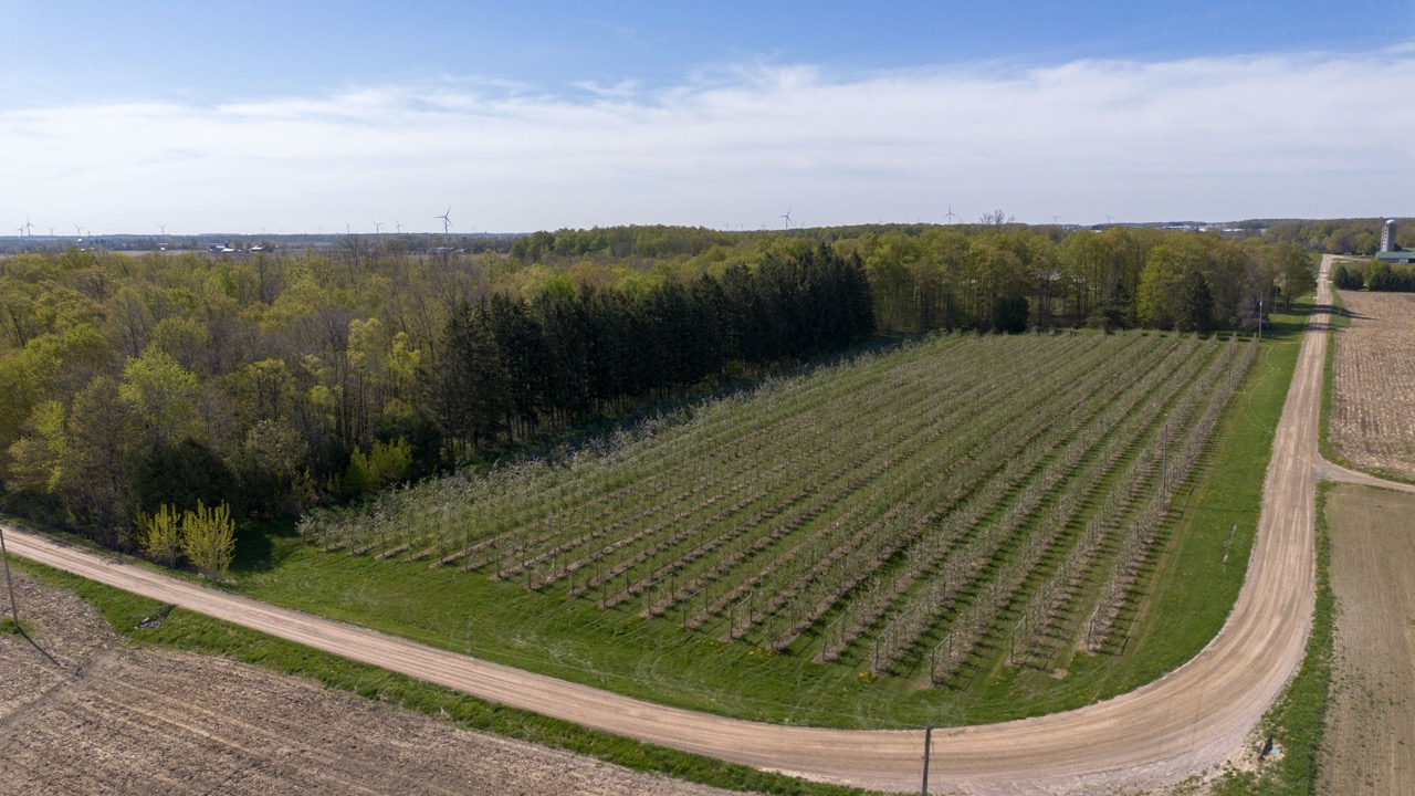 1355 Ausable Road, Arkona, Ontario    - Photo 6 - RP9140738261