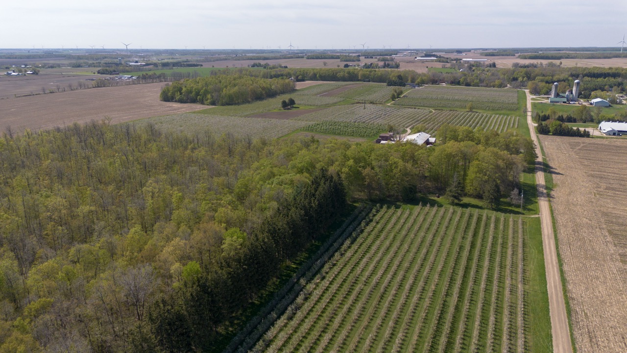 1355 Ausable Road, Arkona, Ontario    - Photo 7 - RP9140738261