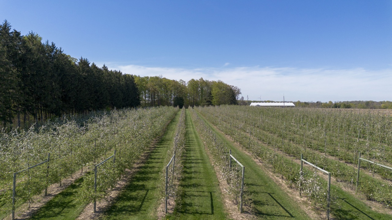 1355 Ausable Road, Arkona, Ontario    - Photo 8 - RP9140738261