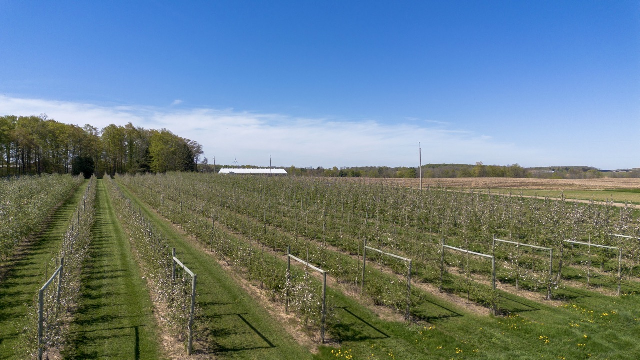 1355 Ausable Road, Arkona, Ontario    - Photo 9 - RP9140738261