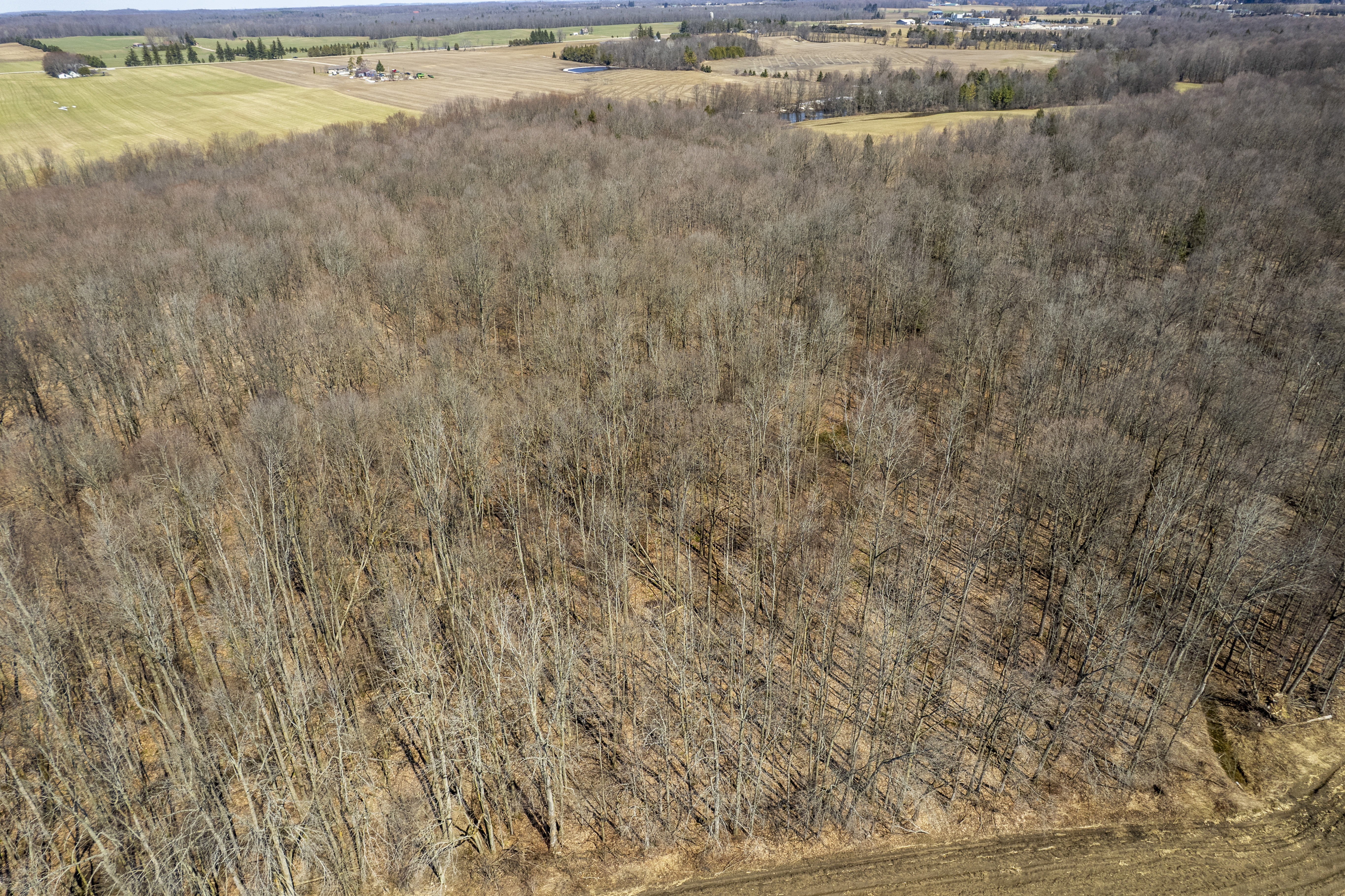 1162 Concession Rd 4 E, Chepstow, Ontario    - Photo 12 - RP5456766155