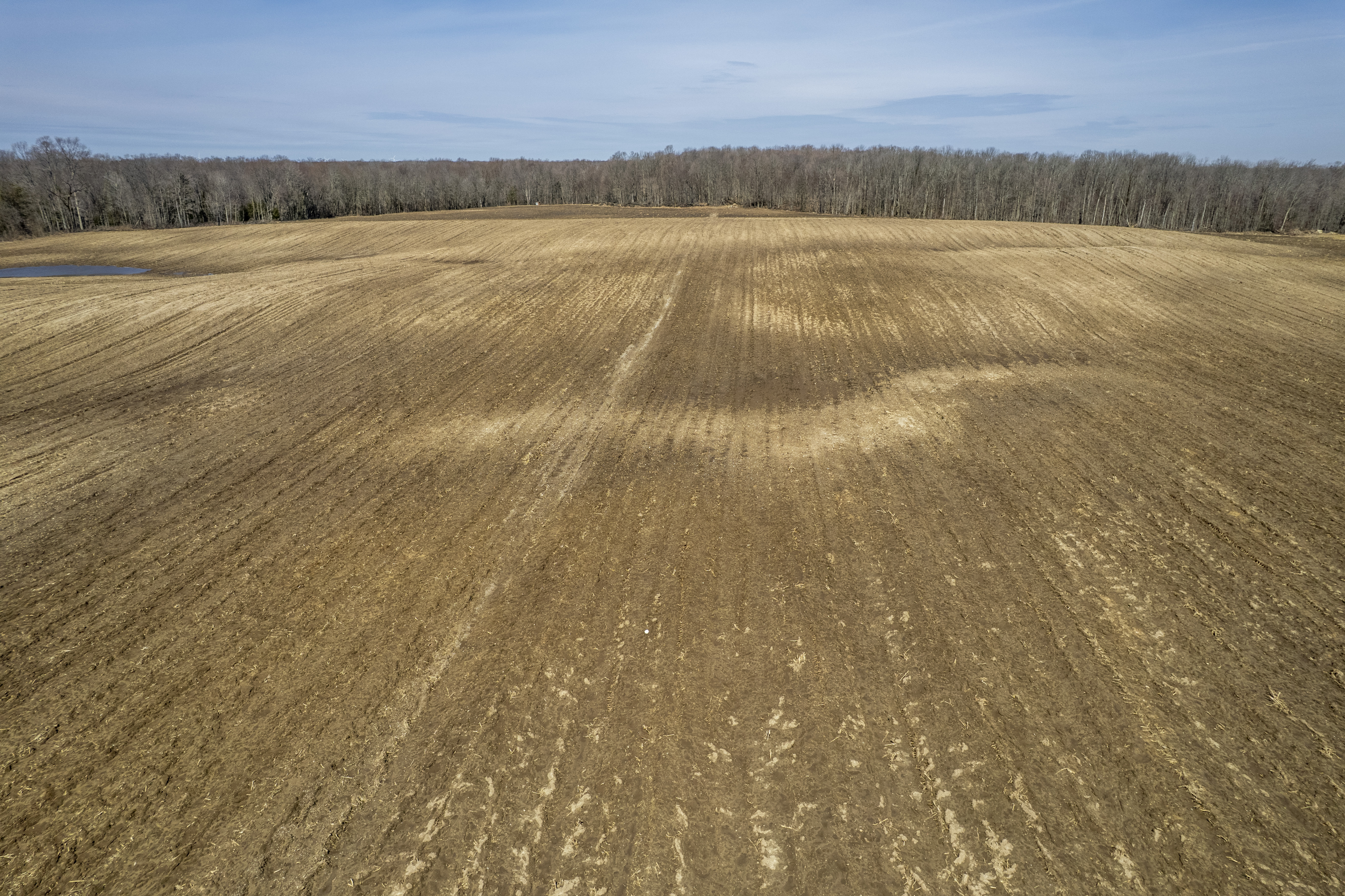 1162 Concession Rd 4 E, Chepstow, Ontario    - Photo 9 - RP5456766155