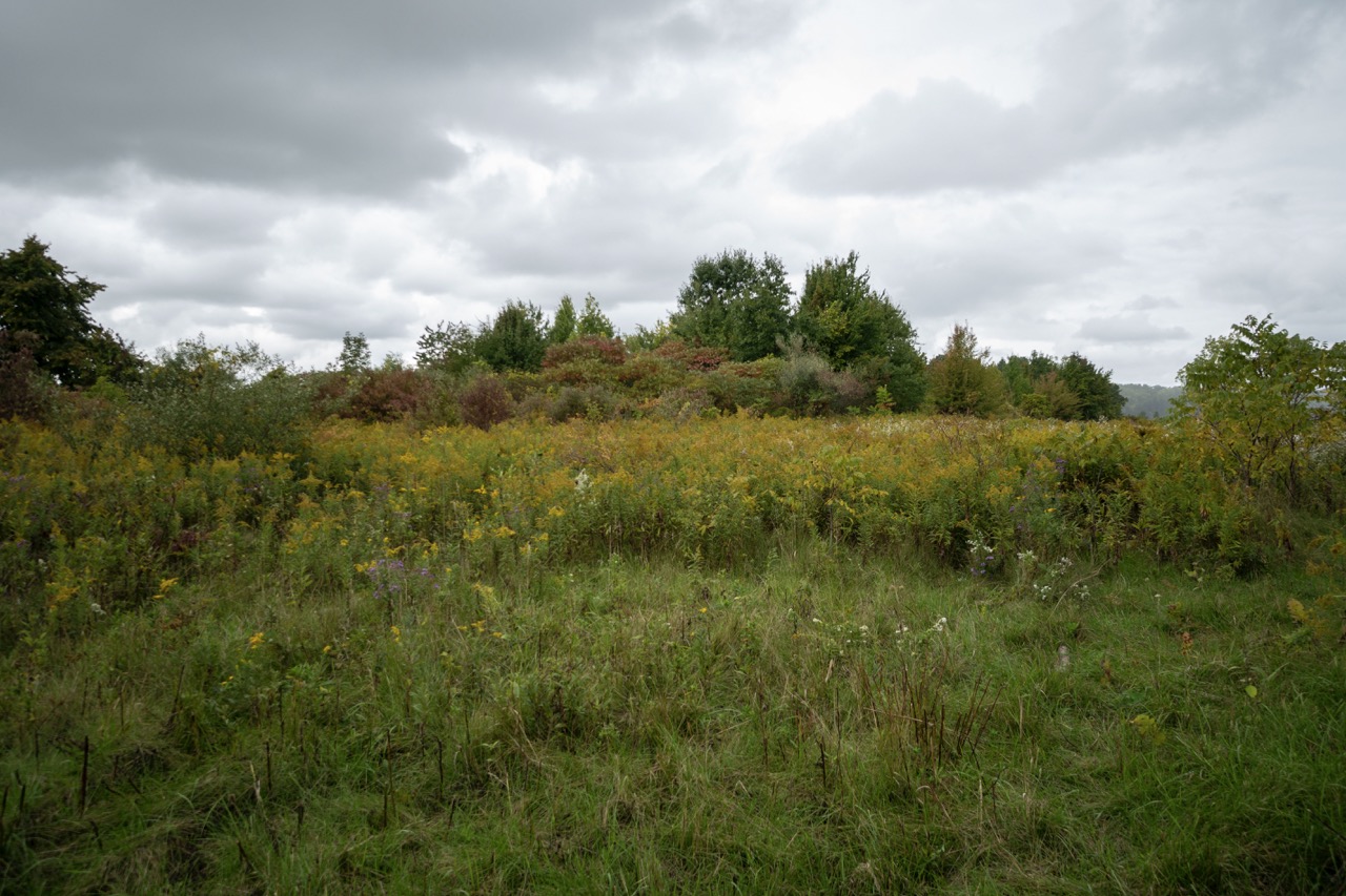 85 Wolven Street, Port Rowan, Ontario  N0E 1M0 - Photo 2 - RP4576650390