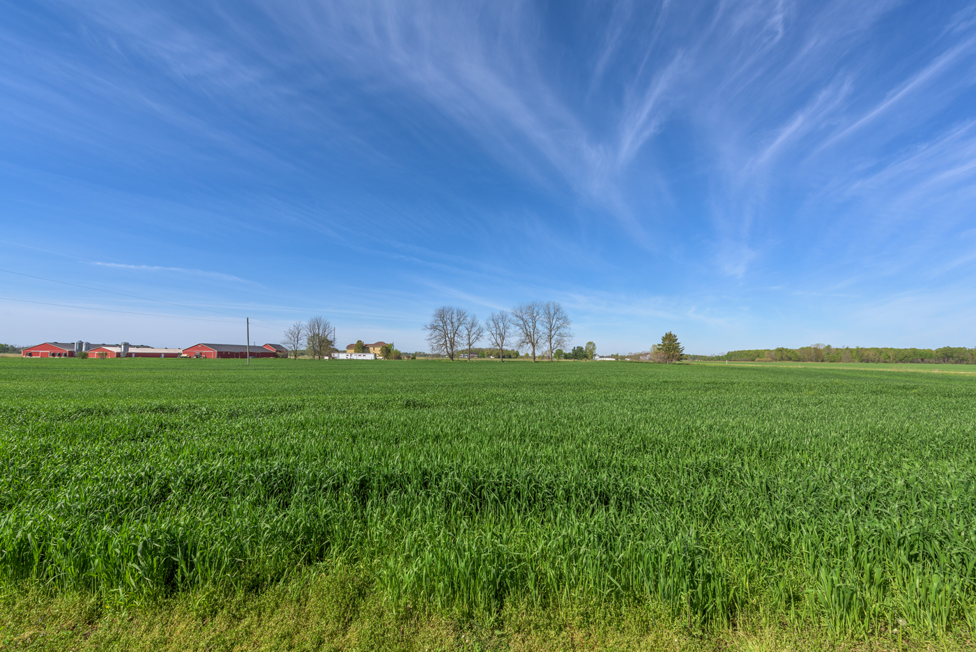 27289 Aberdeen Line, Dutton, Ontario  N0L 1J0 - Photo 11 - RP8893448356