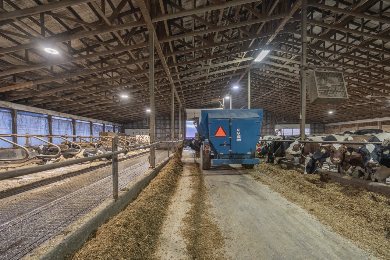 38152 Hawkins Rd, Auburn, Ontario    - Photo 18 - RP139954239