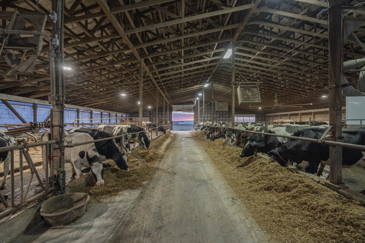 38152 Hawkins Rd, Auburn, Ontario    - Photo 19 - RP139954239