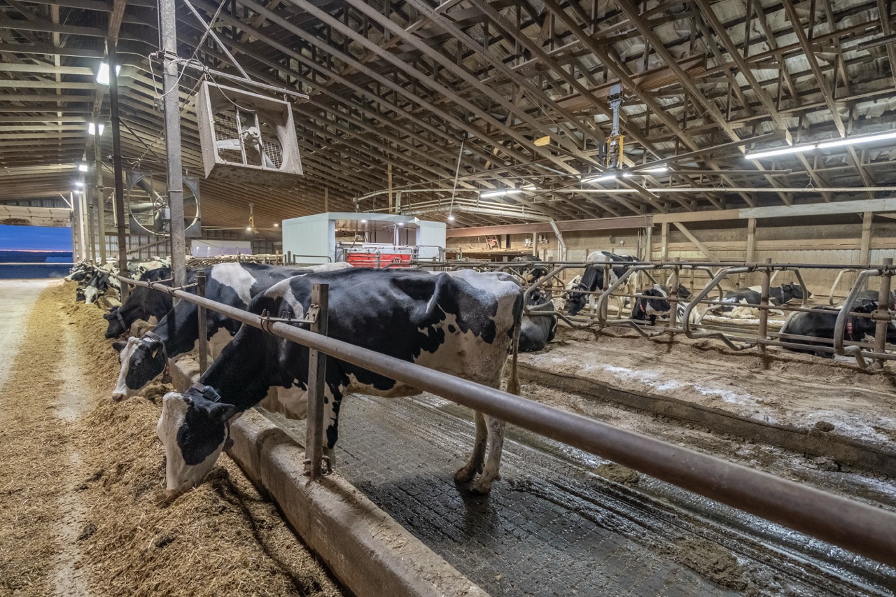 38152 Hawkins Rd, Auburn, Ontario    - Photo 20 - RP139954239