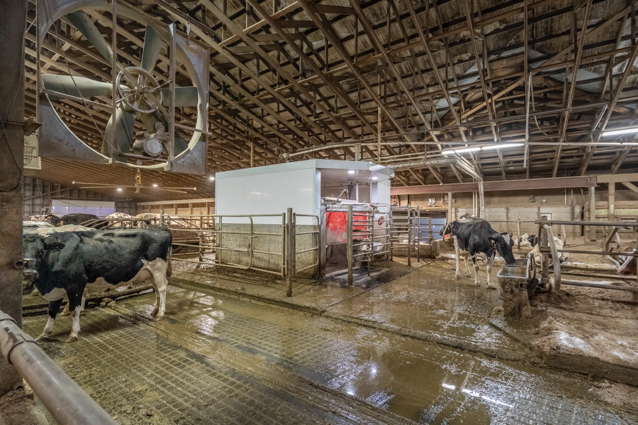 38152 Hawkins Rd, Auburn, Ontario    - Photo 21 - RP139954239