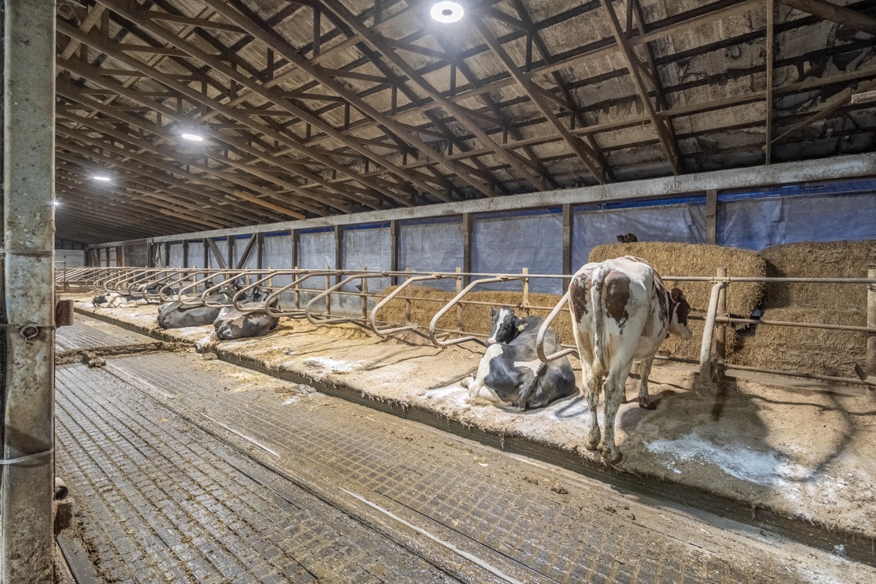 38152 Hawkins Rd, Auburn, Ontario    - Photo 22 - RP139954239