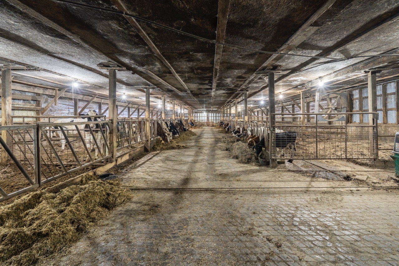 38152 Hawkins Rd, Auburn, Ontario    - Photo 26 - RP139954239