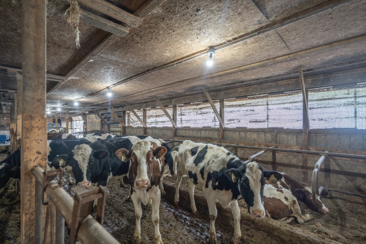 38152 Hawkins Rd, Auburn, Ontario    - Photo 27 - RP139954239