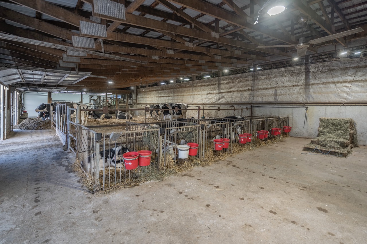 38152 Hawkins Rd, Auburn, Ontario    - Photo 28 - RP139954239