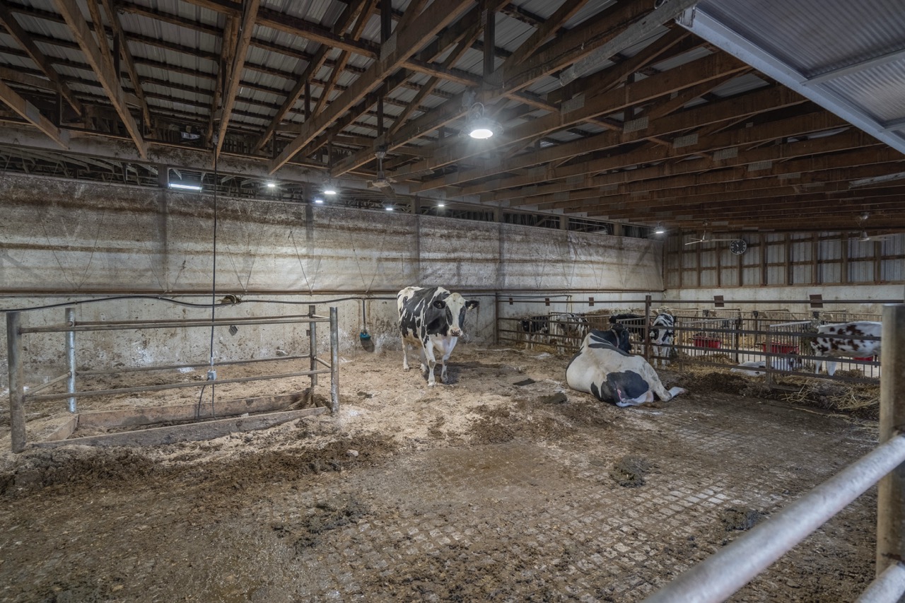 38152 Hawkins Rd, Auburn, Ontario    - Photo 29 - RP139954239