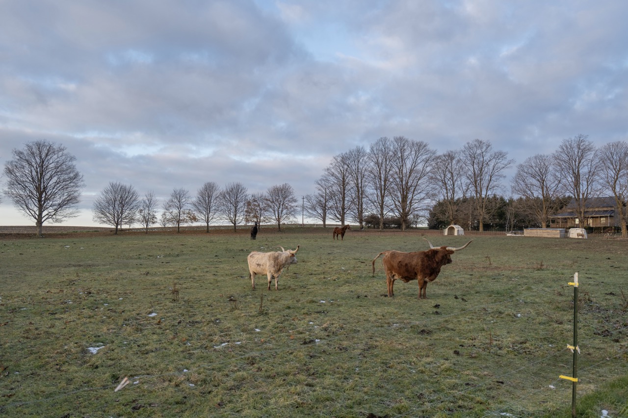 38152 Hawkins Rd, Auburn, Ontario    - Photo 32 - RP139954239