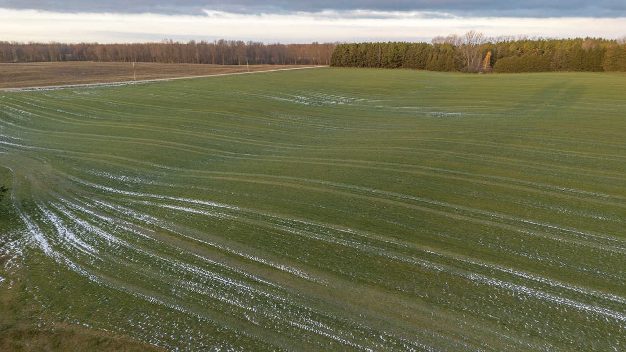 38152 Hawkins Rd, Auburn, Ontario    - Photo 6 - RP139954239