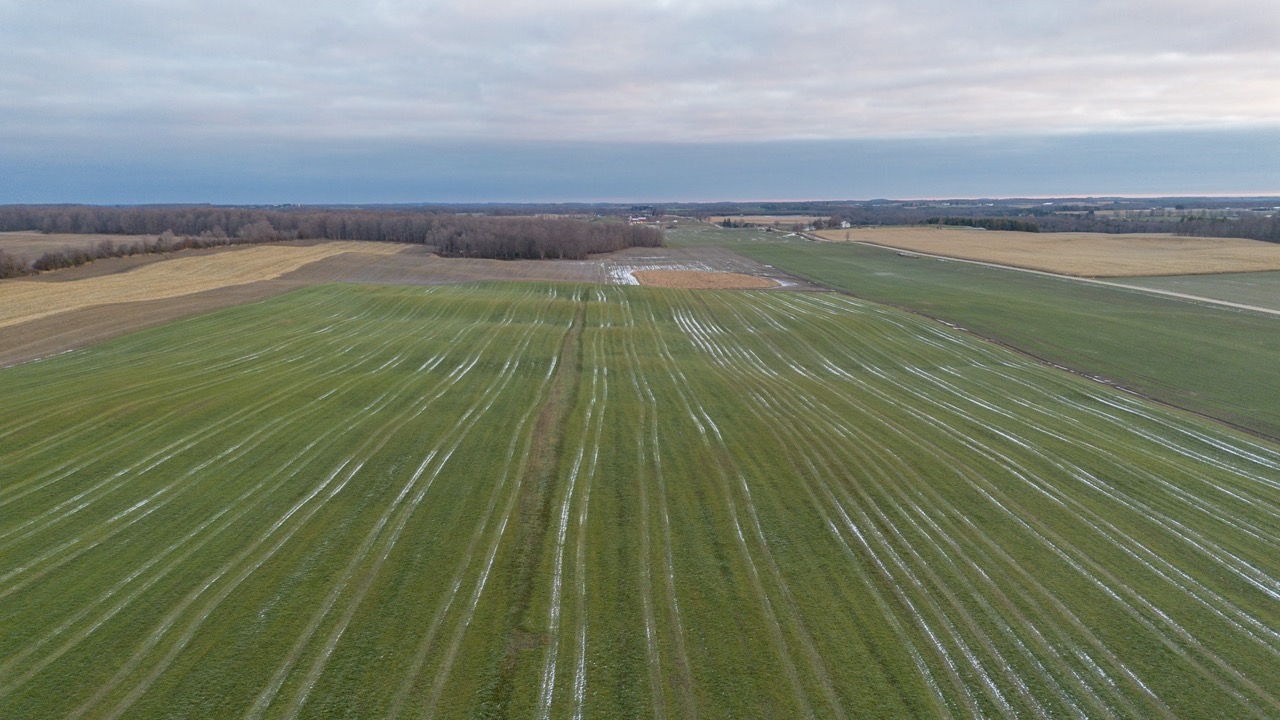 38152 Hawkins Rd, Auburn, Ontario    - Photo 7 - RP139954239