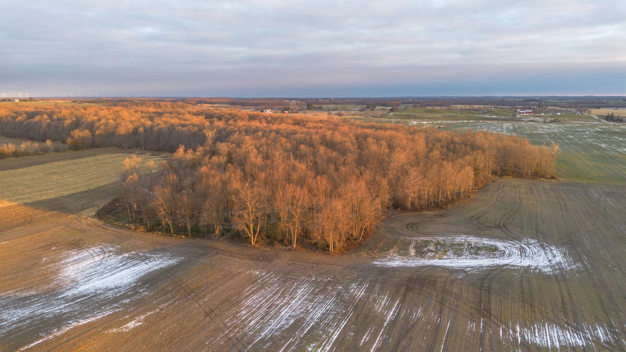 38152 Hawkins Rd, Auburn, Ontario    - Photo 8 - RP139954239