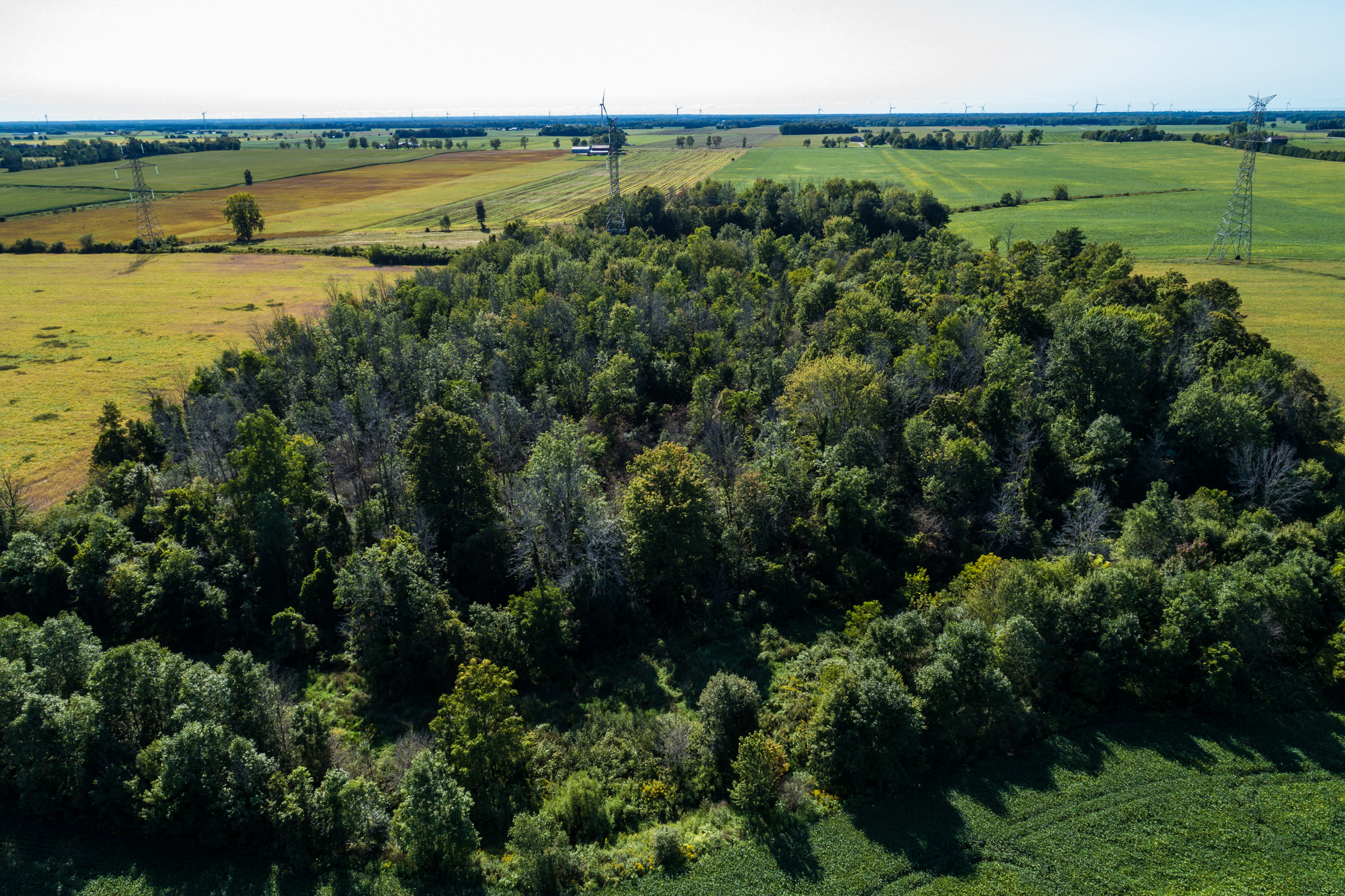 70197 Babylon Line, Crediton, Ontario  N0M 1M0 - Photo 5 - RP959603690