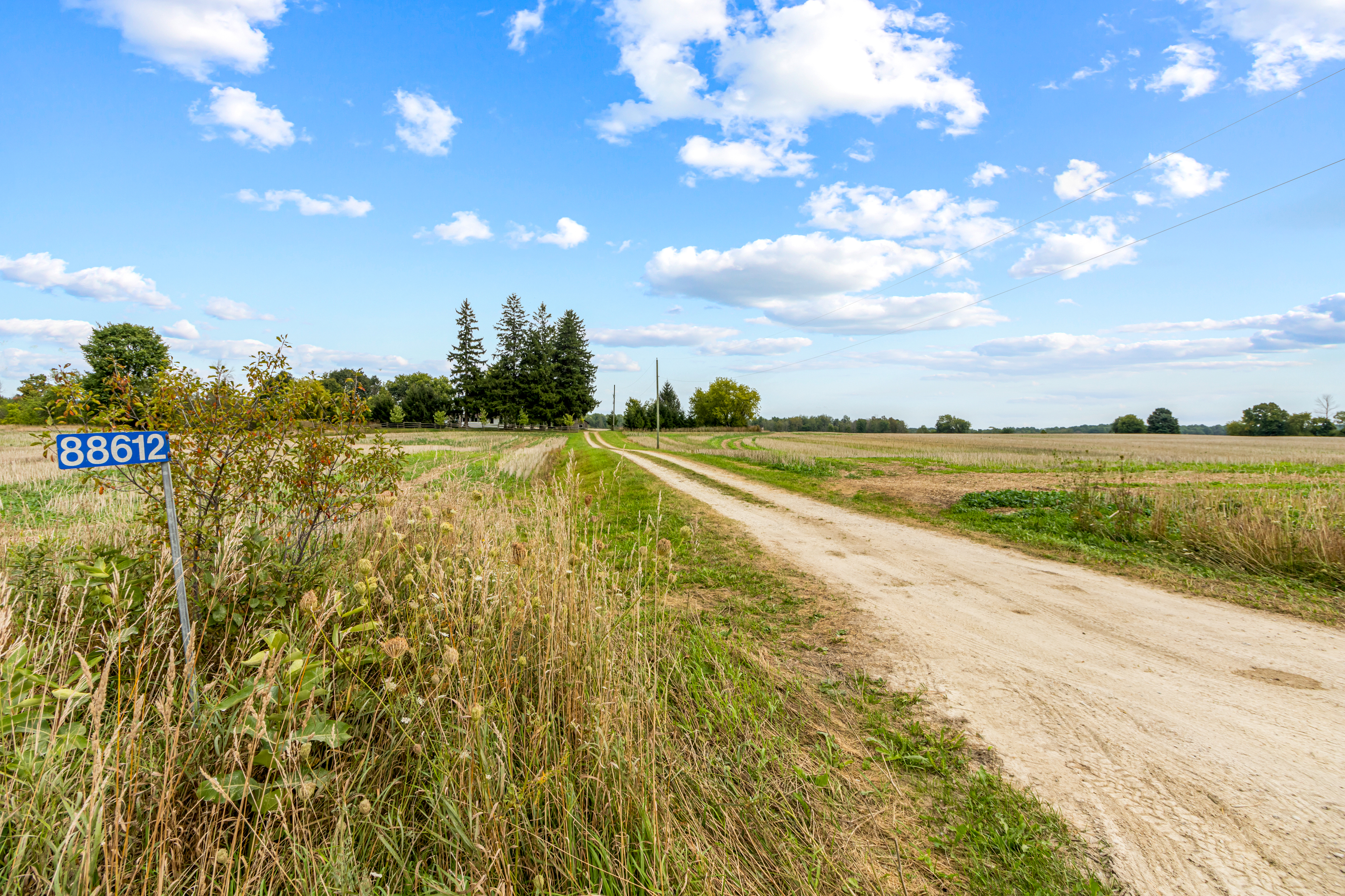 88612 Mcdonald Line, Wroxeter, Ontario    - Photo 4 - RP3169965418