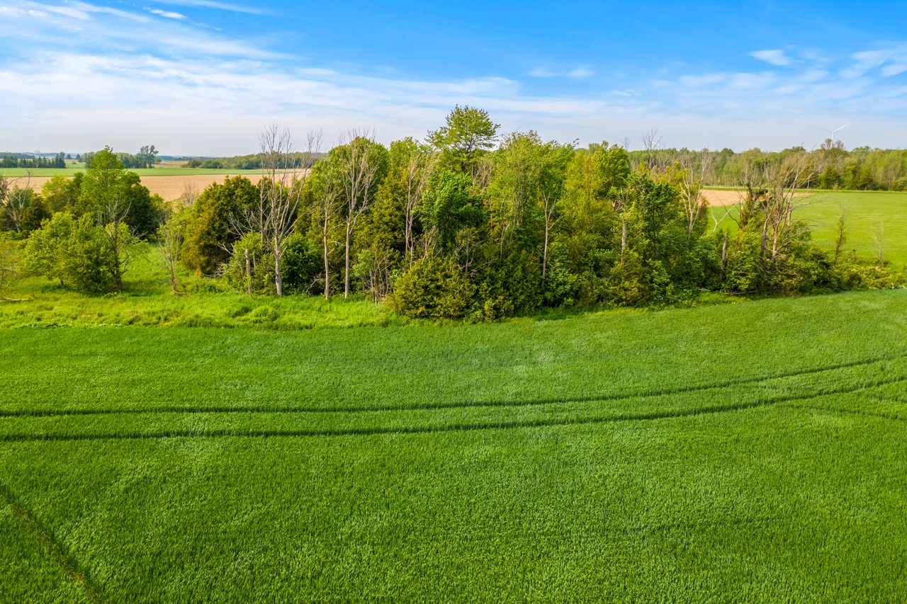 Con 12 Lt 4&5 Kerry’s Line, Lucknow, Ontario    - Photo 15 - RP1686629352