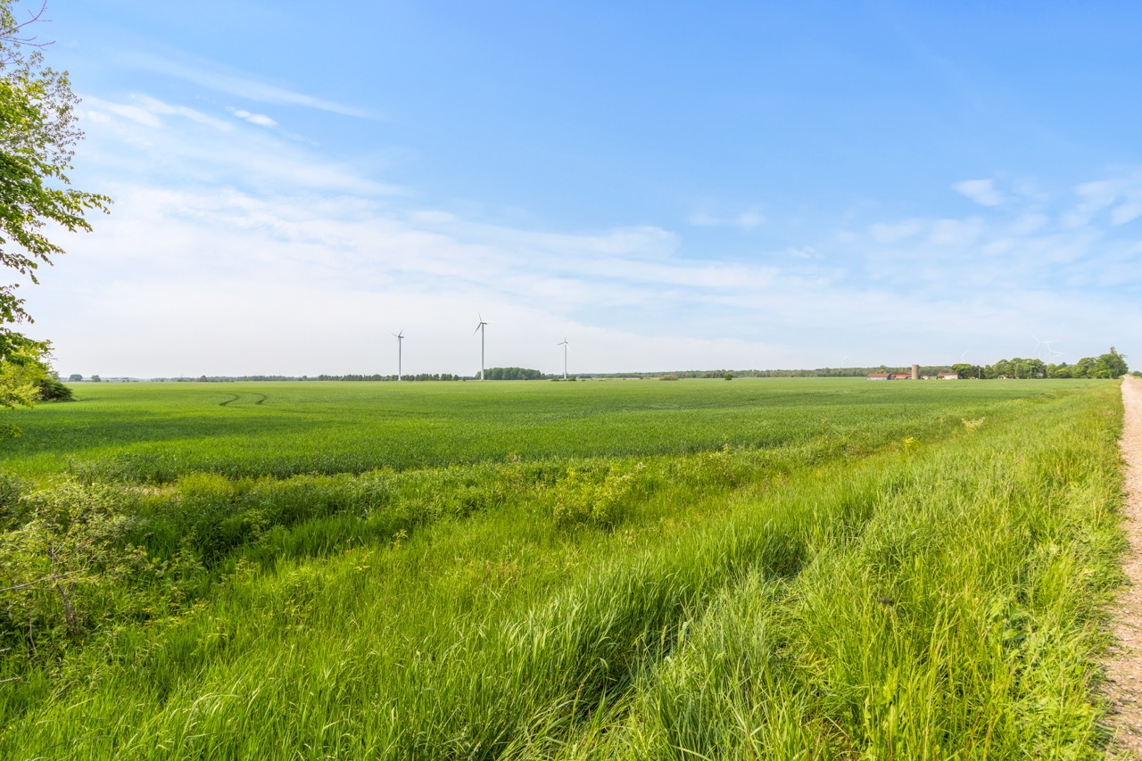 Con 12 Lt 4&5 Kerry’s Line, Lucknow, Ontario    - Photo 7 - RP1686629352