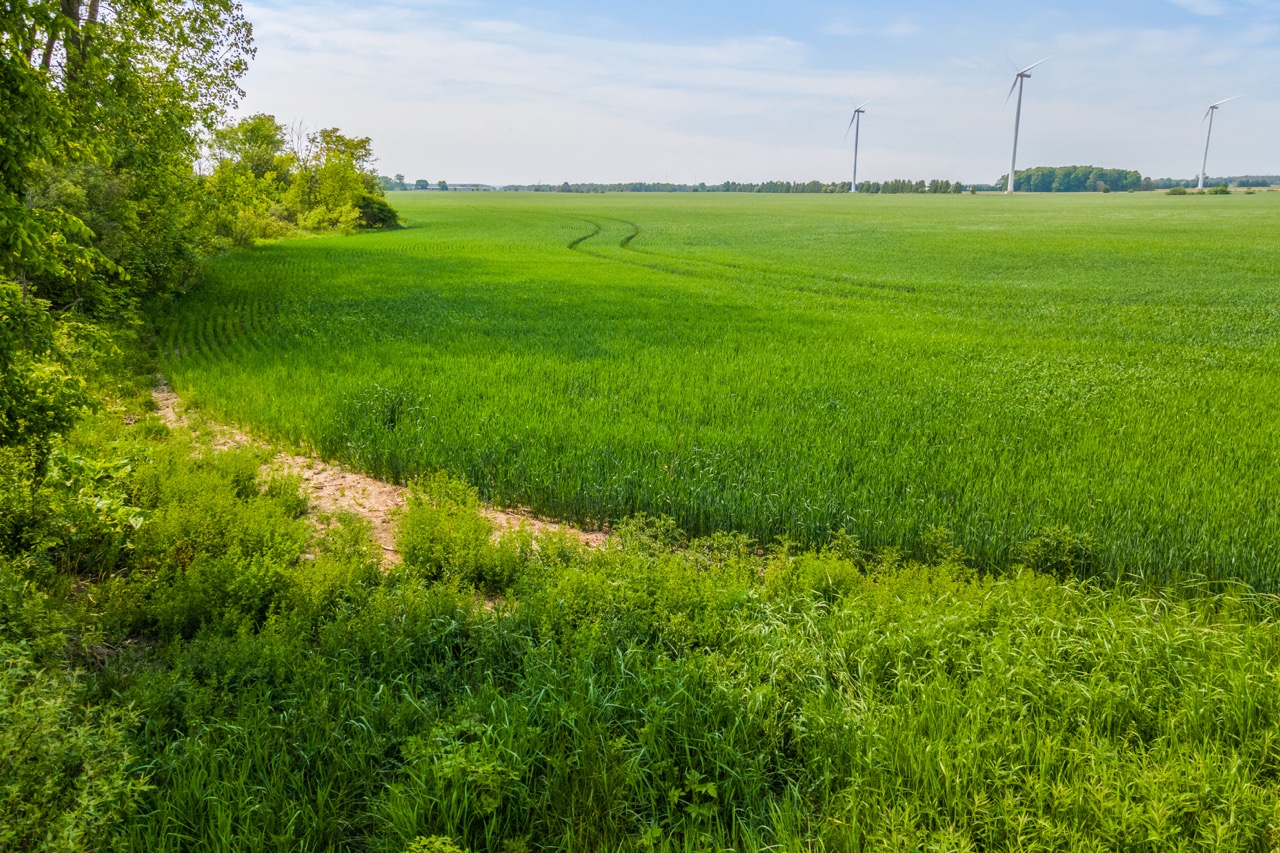 Con 12 Lt 4&5 Kerry’s Line, Lucknow, Ontario    - Photo 8 - RP1686629352