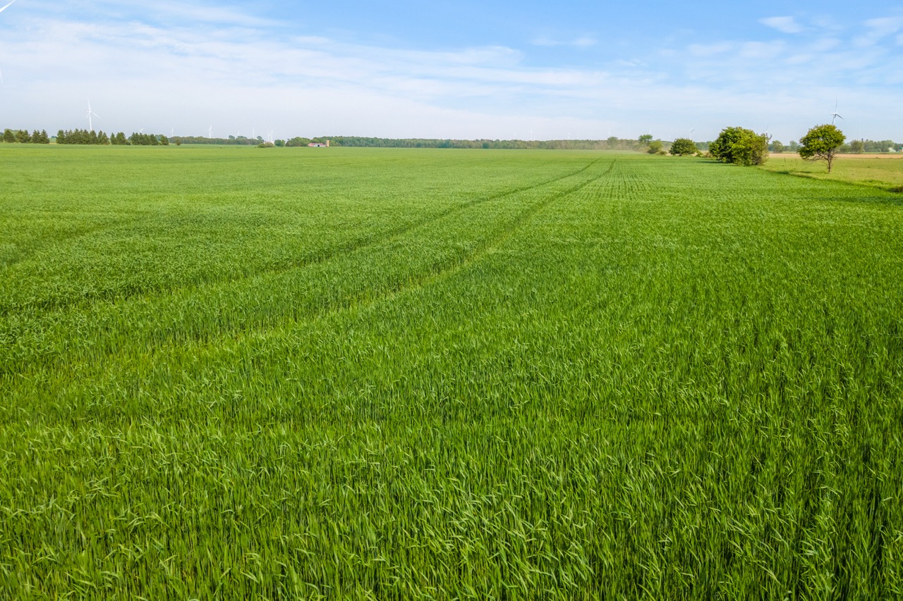 Con 12 Lt 4&5 Kerry’s Line, Lucknow, Ontario    - Photo 9 - RP1686629352