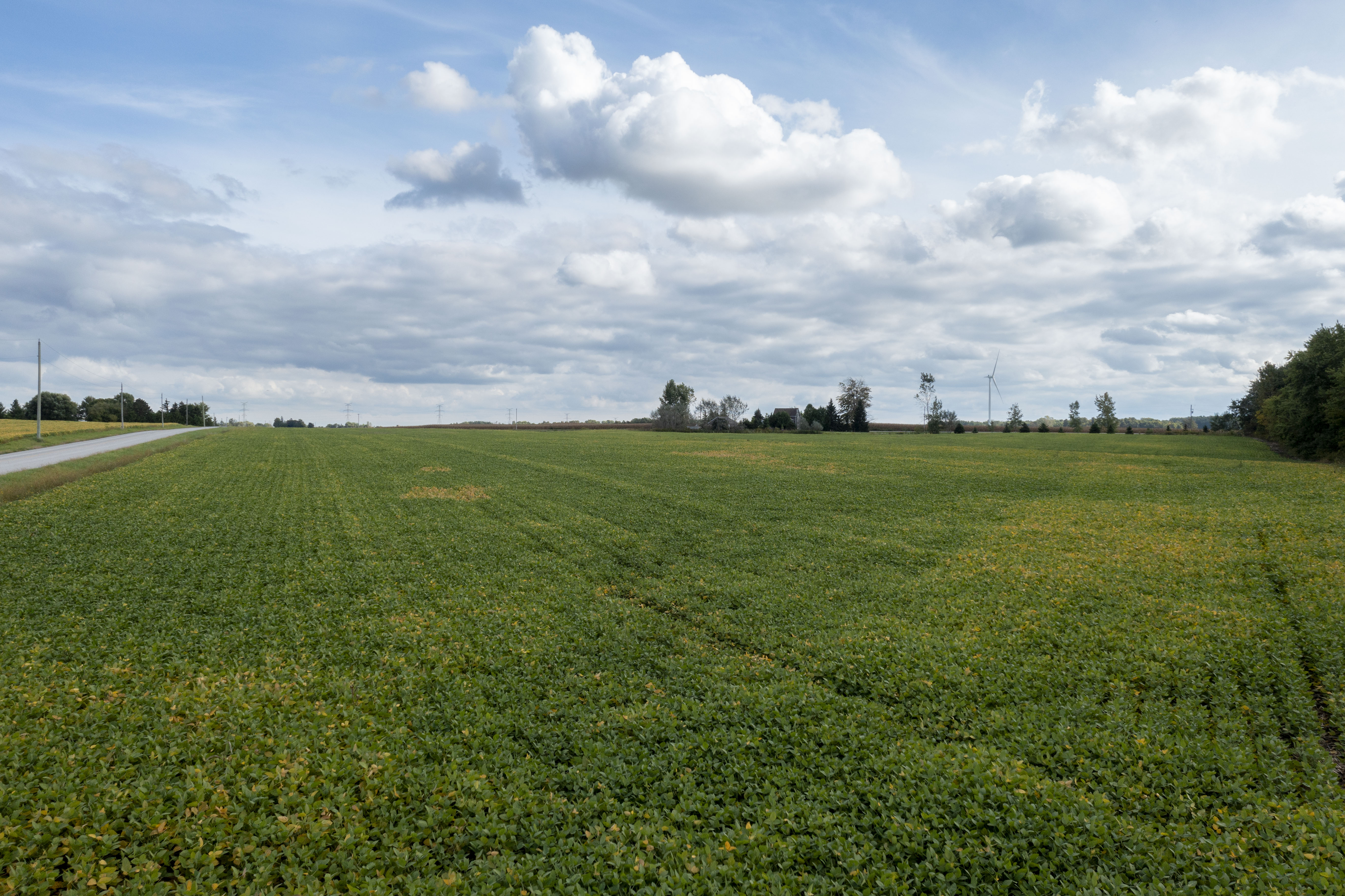 Pt Lt 27 Con 3, Adelaide-Metcalfe, Ontario    - Photo 4 - RP8460533147