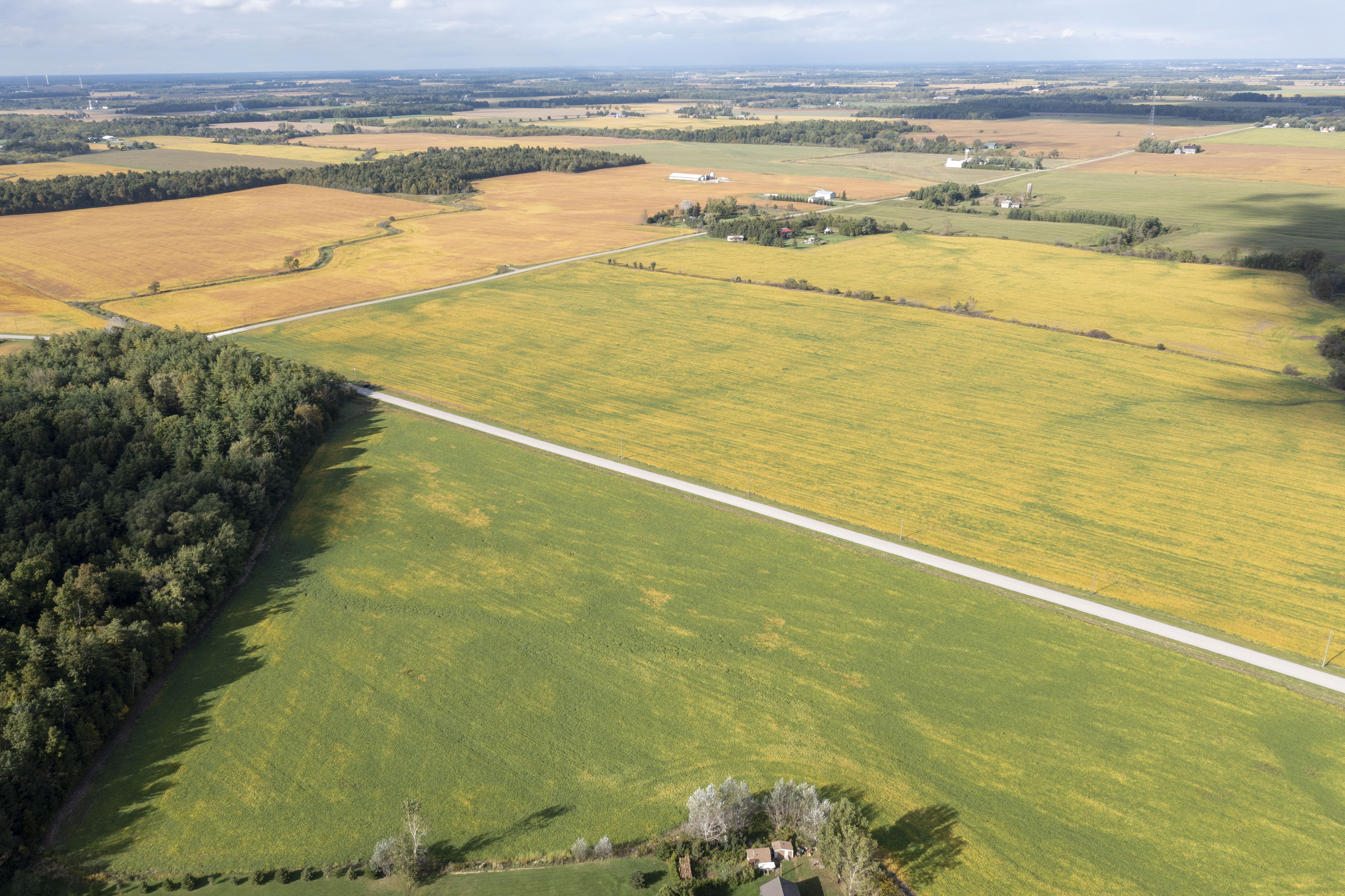 Pt Lt 27 Con 3, Adelaide-Metcalfe, Ontario    - Photo 5 - RP8460533147