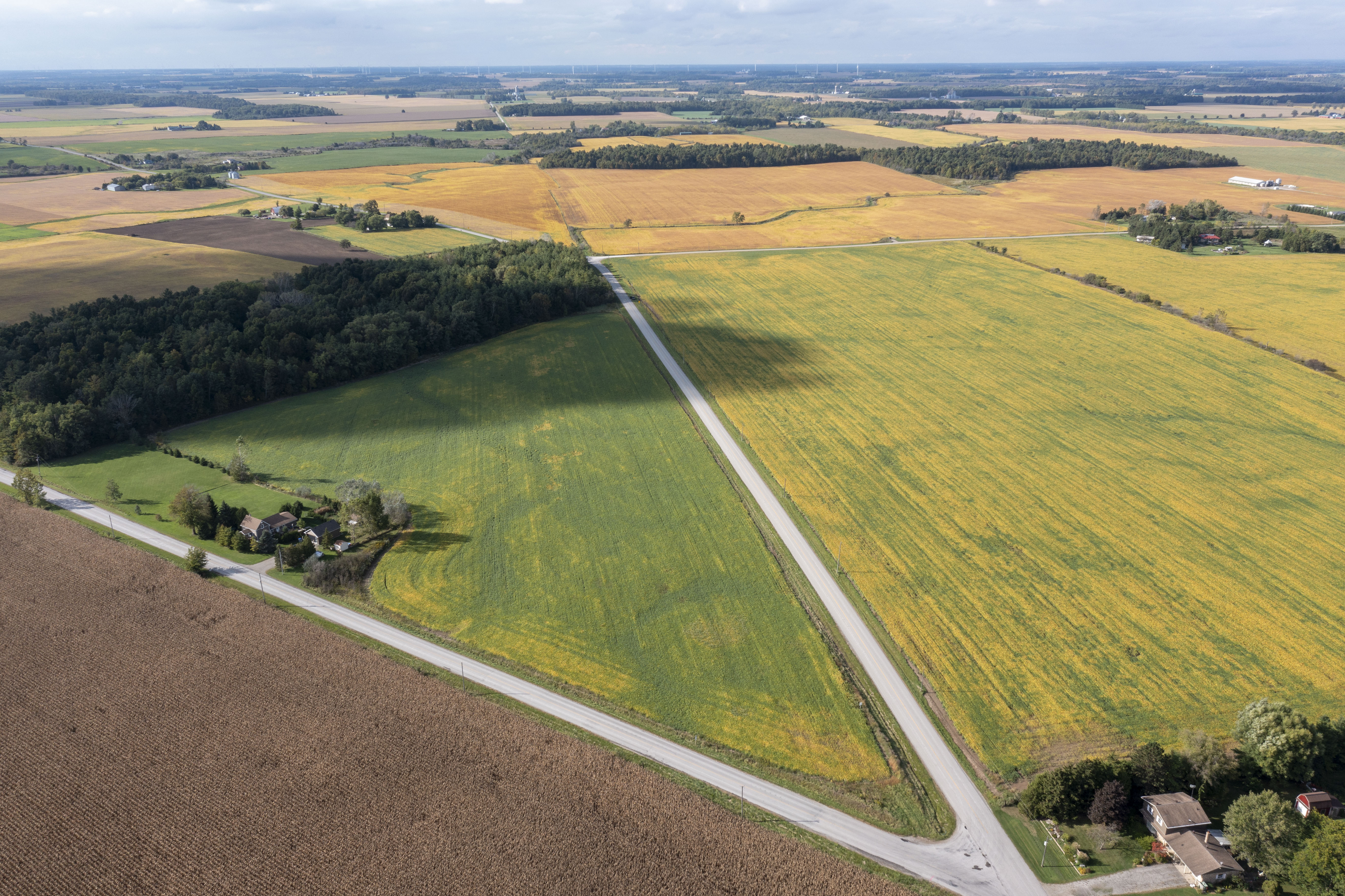 Pt Lt 27 Con 3, Adelaide-Metcalfe, Ontario    - Photo 6 - RP8460533147