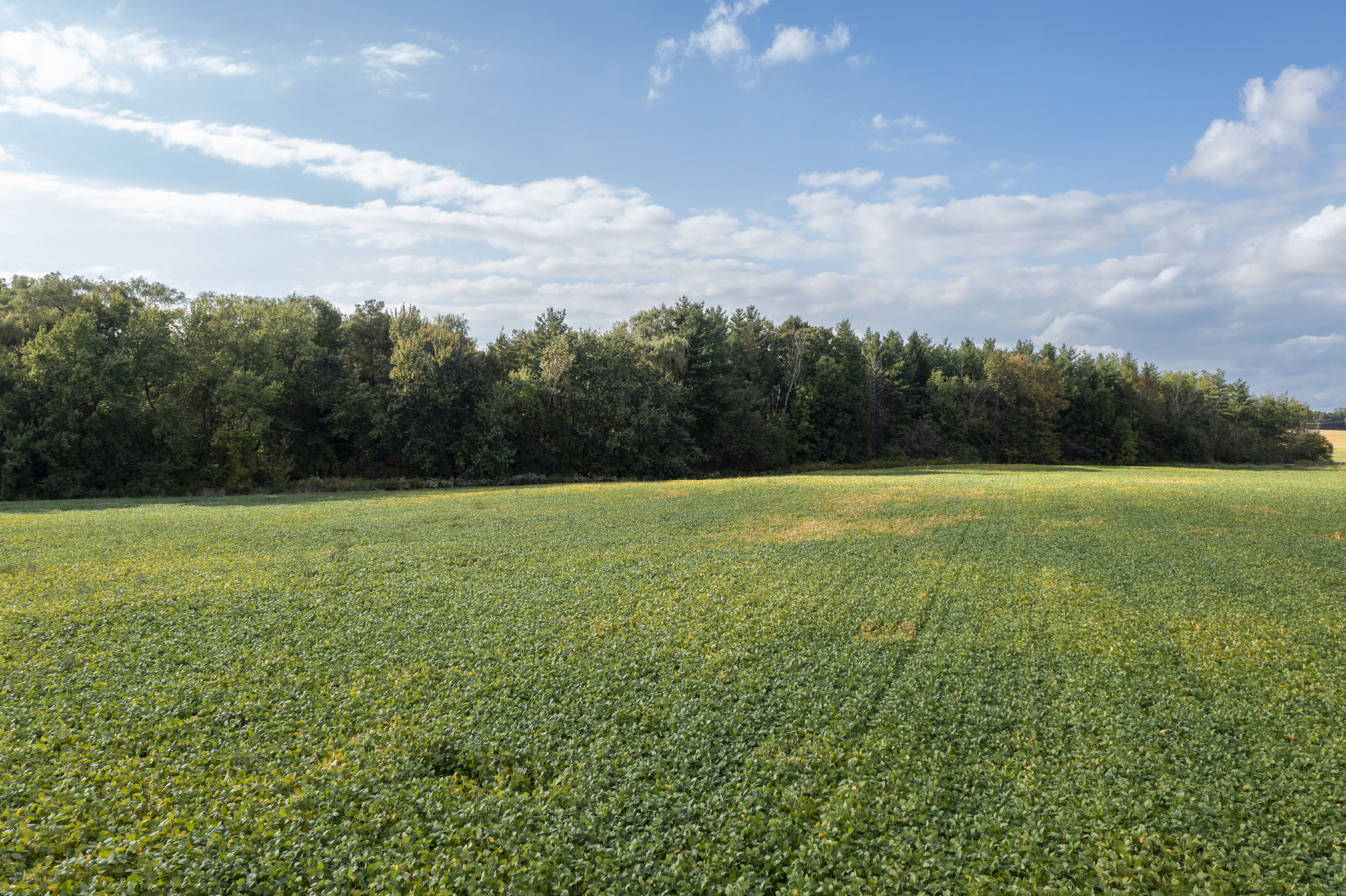 Pt Lt 27 Con 3, Adelaide-Metcalfe, Ontario    - Photo 7 - RP8460533147