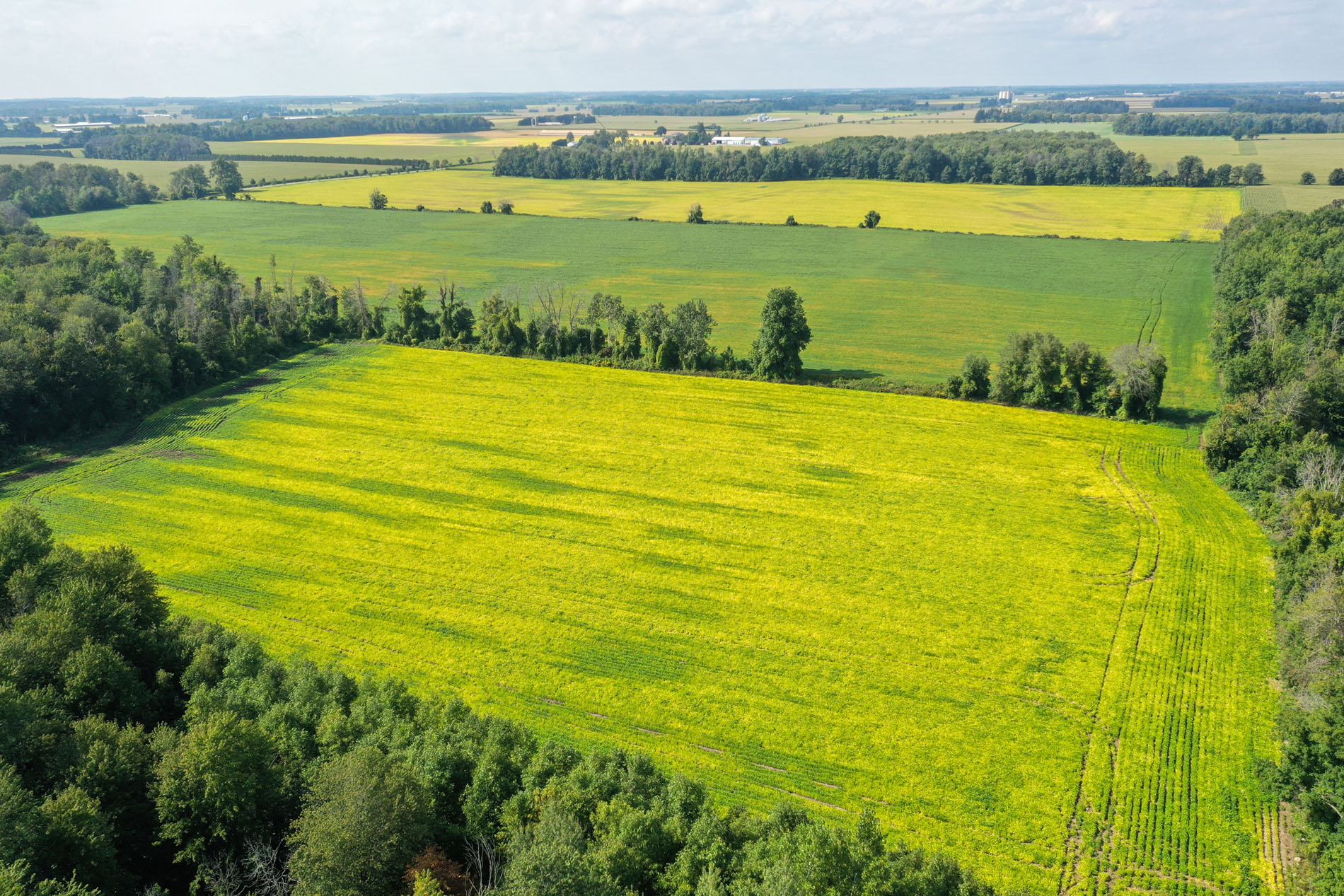 496374 10th Line, Tavistock, Ontario  N0B 2R0 - Photo 1 - RP2033751169