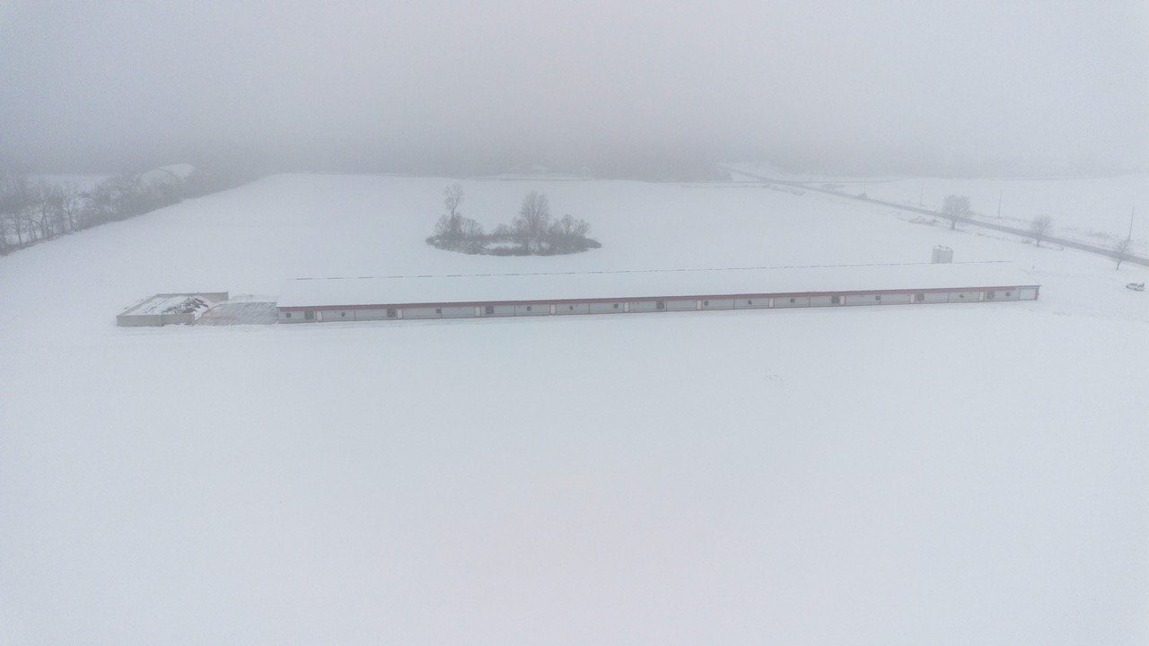 815787 Oxford Road 22, Innerkip, Ontario    - Photo 15 - RP7500381774