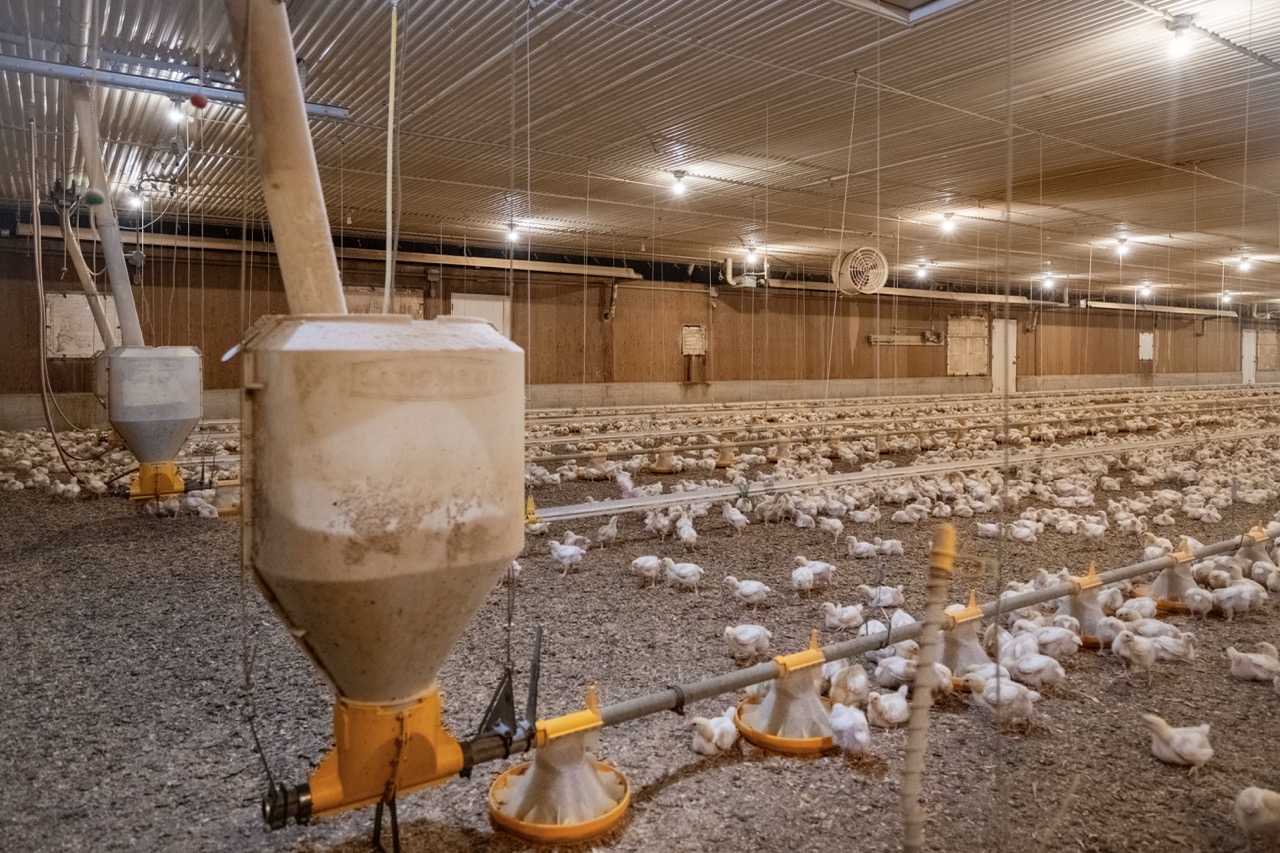 815787 Oxford Road 22, Innerkip, Ontario    - Photo 36 - RP7500381774