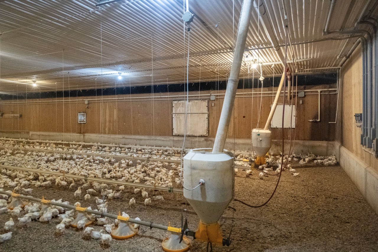 815787 Oxford Road 22, Innerkip, Ontario    - Photo 37 - RP7500381774