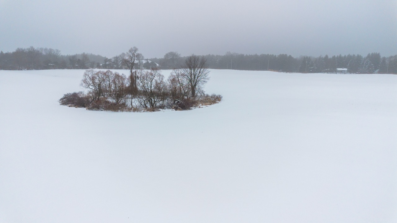 815787 Oxford Road 22, Innerkip, Ontario    - Photo 9 - RP7500381774