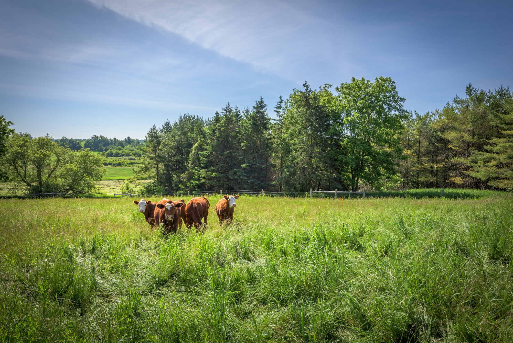 45413 Gough Rd, Fordwich, Ontario  N0G 1V0 - Photo 14 - RP5089839490