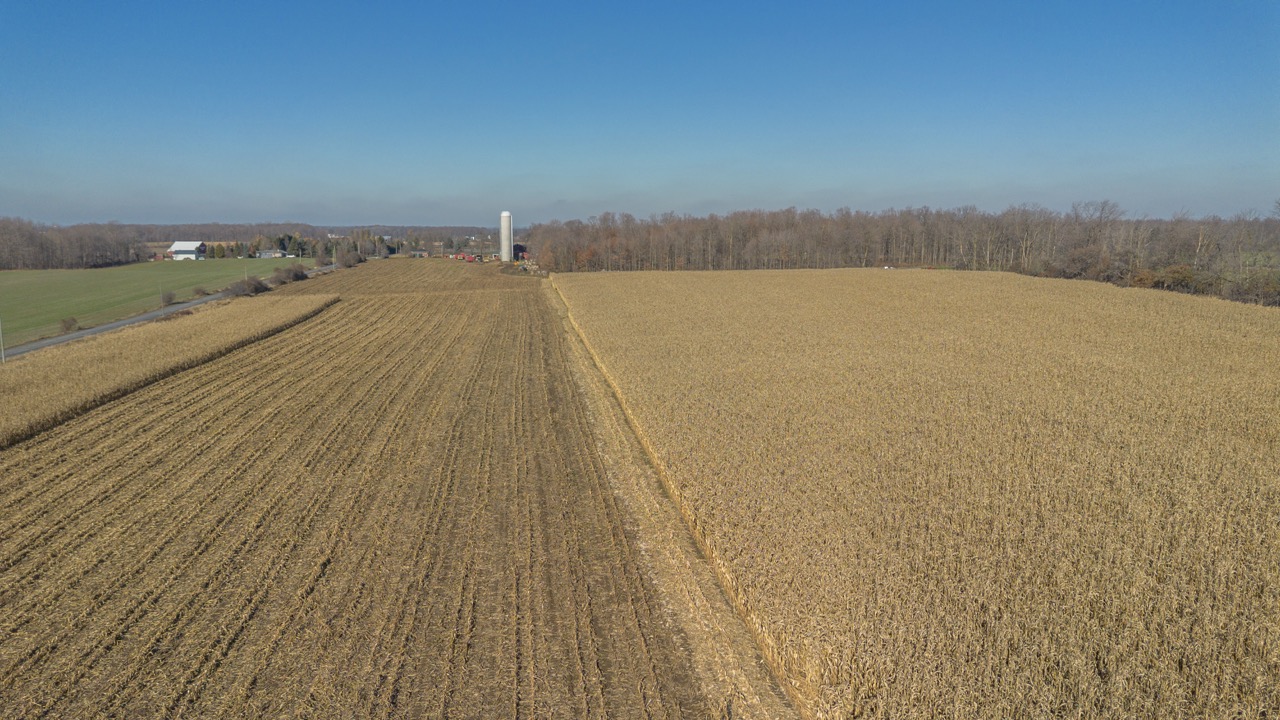 1177 Beitz Rd, Breslau, Ontario    - Photo 10 - RP2856797314