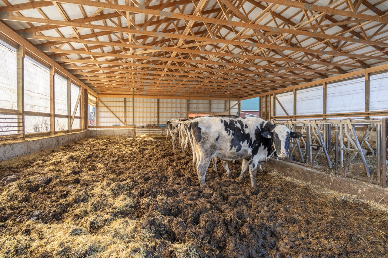 1177 Beitz Rd, Breslau, Ontario    - Photo 17 - RP2856797314