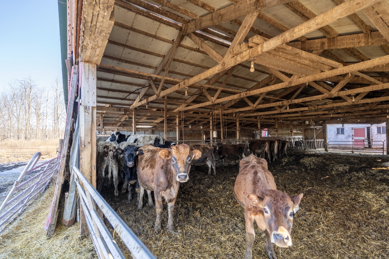 1177 Beitz Rd, Breslau, Ontario    - Photo 20 - RP2856797314